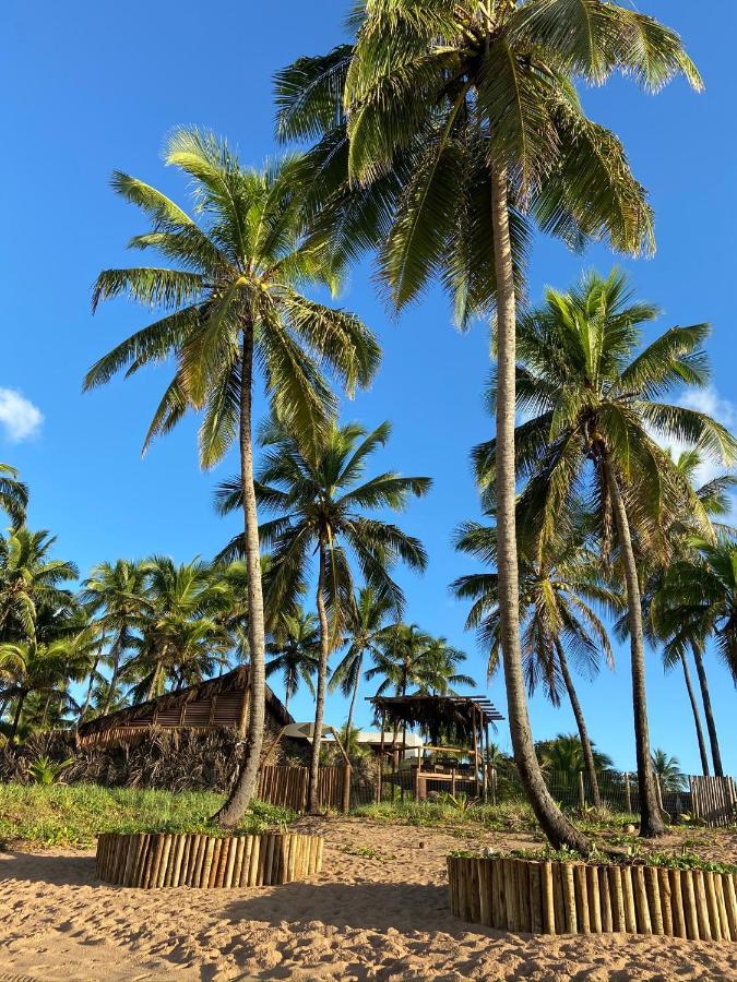 Bahia Surf Camp Hotel Abrantes Exterior photo
